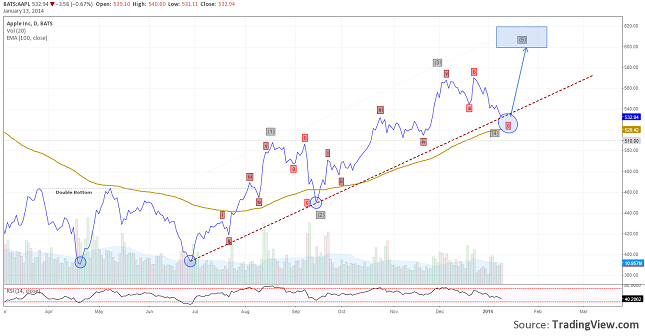 aapl-entering-5th-wave-resize-13.01.2014
